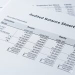 Audited Balance Sheets