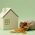 Can a Housing Society Invest Surplus Funds in Shares of Companies?