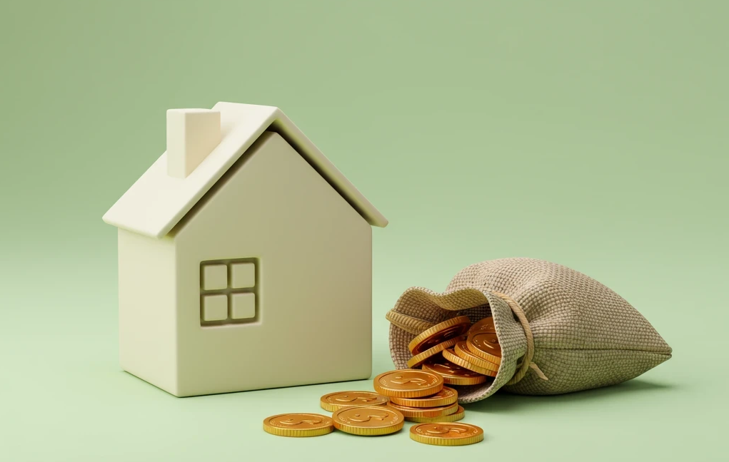 Can a Housing Society Invest Surplus Funds in Shares of Companies?