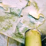 Who Is Responsible for Internal Leakage Between Flats in a Housing Society?