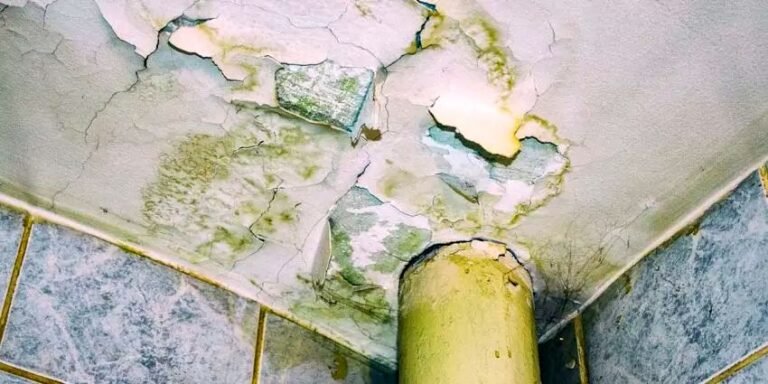 Who Is Responsible for Internal Leakage Between Flats in a Housing Society?