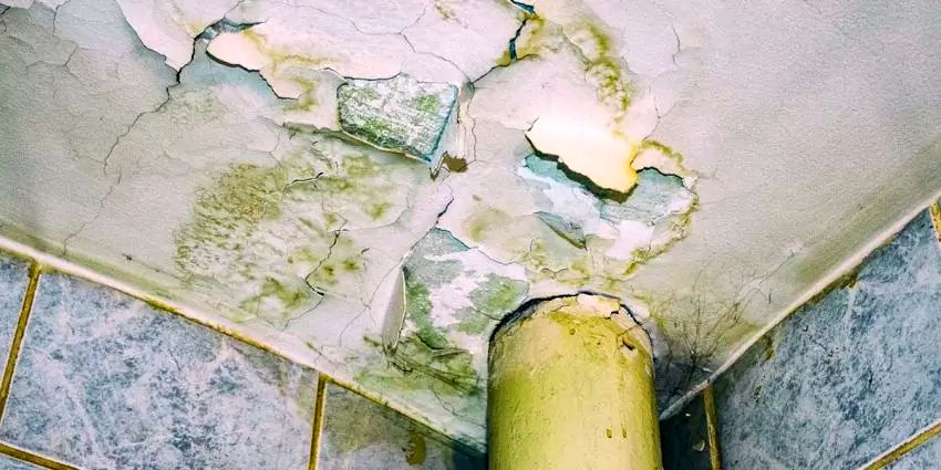 Who Is Responsible for Internal Leakage Between Flats in a Housing Society?